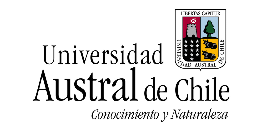 Itecsa